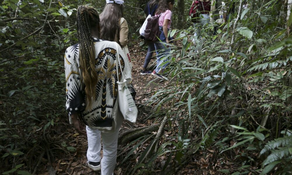 participantes-de-projeto-educativo-conhecem-biodiversidade-do-cerrado