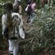 participantes-de-projeto-educativo-conhecem-biodiversidade-do-cerrado