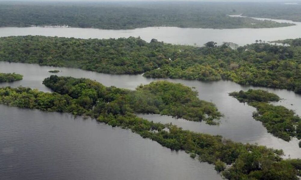 projeto-de-lei-vai-facilitar-regularizacao-de-terras-na-amazonia