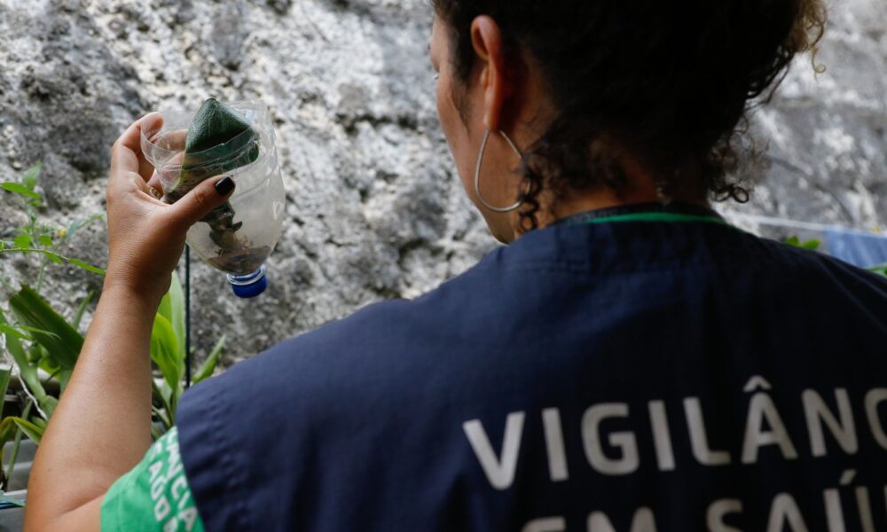 com-32,3-mil-casos-provaveis,-mg-deve-atingir-pico-da-dengue-em-marco