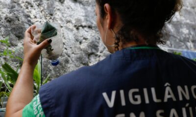 dengue-e-chikungunya-levam-minas-gerais-a-decretar-emergencia