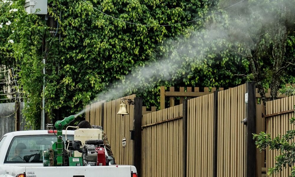 rio-de-janeiro-confirma-segunda-morte-por-dengue