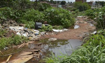 universidade-de-brasilia-faz-pesquisas-para-controlar-aedes-aegypti