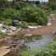 universidade-de-brasilia-faz-pesquisas-para-controlar-aedes-aegypti