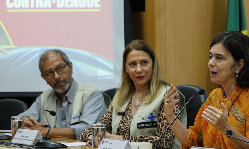 juntas,-dengue-e-gripe-podem-pressionar-sistema-de-saude,-diz-ministra