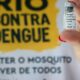 rio-de-janeiro-confirma-quinta-morte-por-dengue