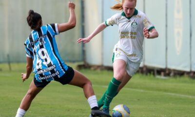 brasileiro-feminino:-palmeiras-derrota-gremio-fora-de-casa