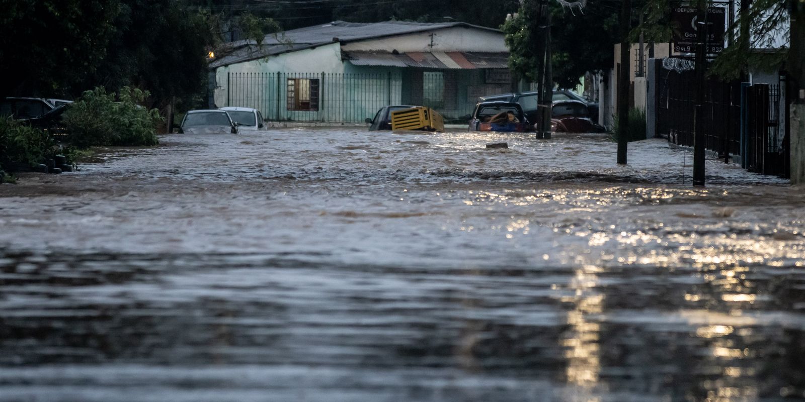 rio-grande-do-sul-investiga-mais-de-800-casos-de-leptospirose