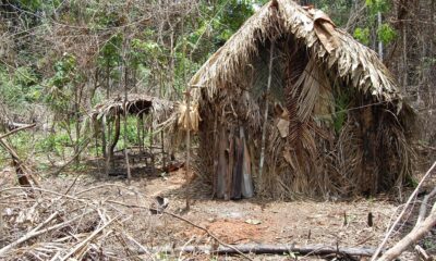 futuro-da-area-onde-viveu-“indio-do-buraco”-e-alvo-de-disputa-judicial