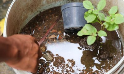 dengue:-saude-encerra-atividades-do-centro-de-operacoes-em-emergencia