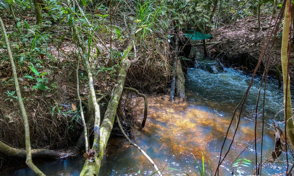 estudo-aponta-impacto-negativo-de-mudancas-climaticas-na-agricultura