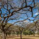 inmet-alerta-sobre-baixa-umidade-no-centro-oeste-e-no-tocantins