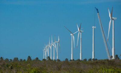 nordeste-tem-segundo-recorde-consecutivo-de-geracao-de-energia-eolica