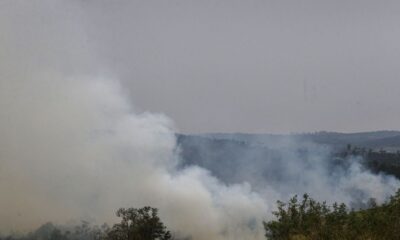 queimadas-e-seca:-saude-anuncia-tendas-para-hidratacao-e-nebulizacao