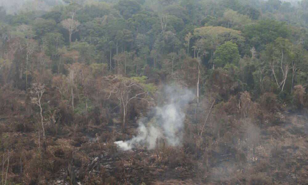 delegado-da-pf-diz-que-ha-indicios-de-acao-coordenada-em-incendios