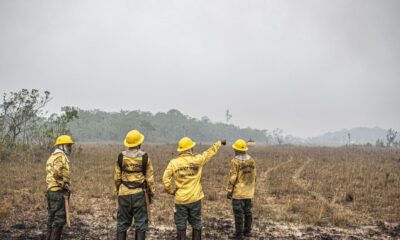 dino-estabelece-orcamento-de-emergencia-para-combate-a-incendios