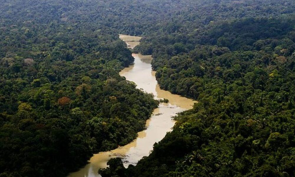 governo-entra-com-primeira-acao-por-danos-climaticos-contra-a-amazonia