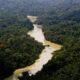 governo-entra-com-primeira-acao-por-danos-climaticos-contra-a-amazonia