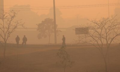 especialista-do-inca-alerta-para-risco-da-fumaca-das-queimadas-a-saude