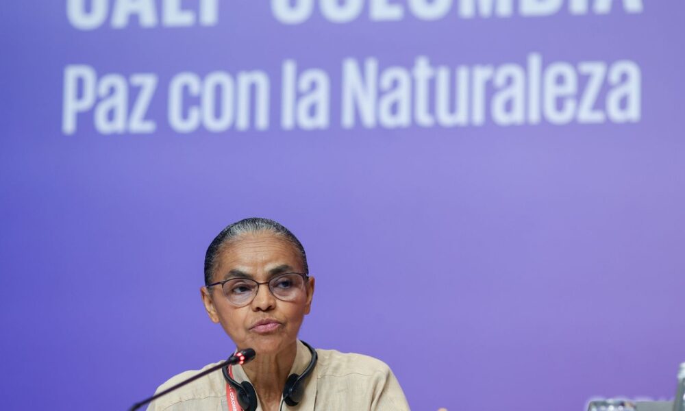 marina-silva-defende-indigena-detida-na-cop16-durante-protesto