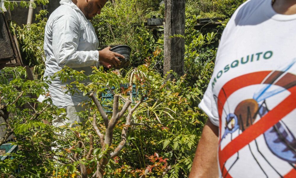 saude-anuncia-novas-tecnologias-de-combate-a-dengue-em-mg