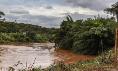 estudo-detecta-presenca-de-metais-na-urina-de-criancas-em-brumadinho