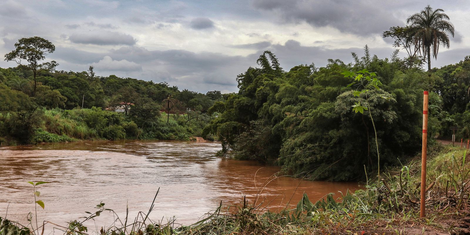 estudo-detecta-presenca-de-metais-na-urina-de-criancas-em-brumadinho