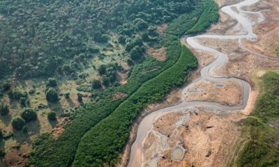 pesquisa-com-bacterias-na-amazonia-pode-desenvolver-novos-medicamentos